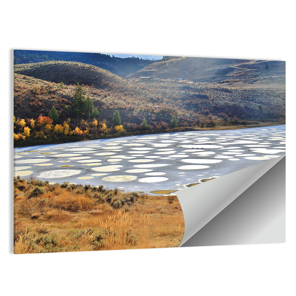 Spotted Lake Osoyoos Wall Art