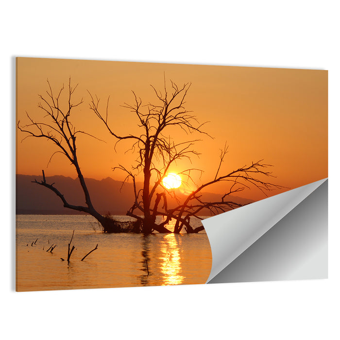 Salton Sea Sunrise Wall Art as a poster print