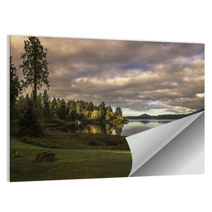 Lake Quinault Reflections Wall Art