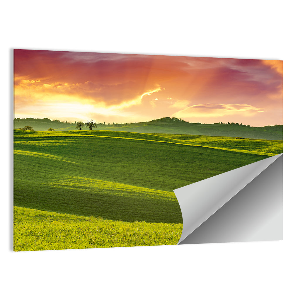 Tuscany Rolling Hills Sunset Wall Art