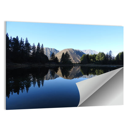 Lake Ida Reflection Wall Art
