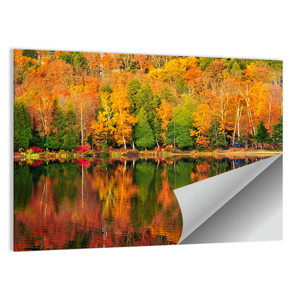 Autumn Forest Reflection Wall Art