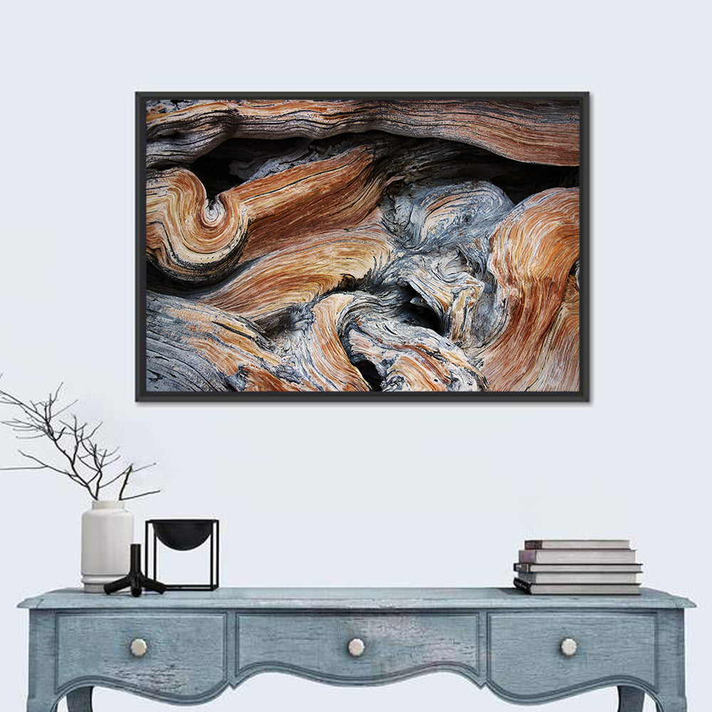 Juniper Wood Texture Wall Art in a room, landscape