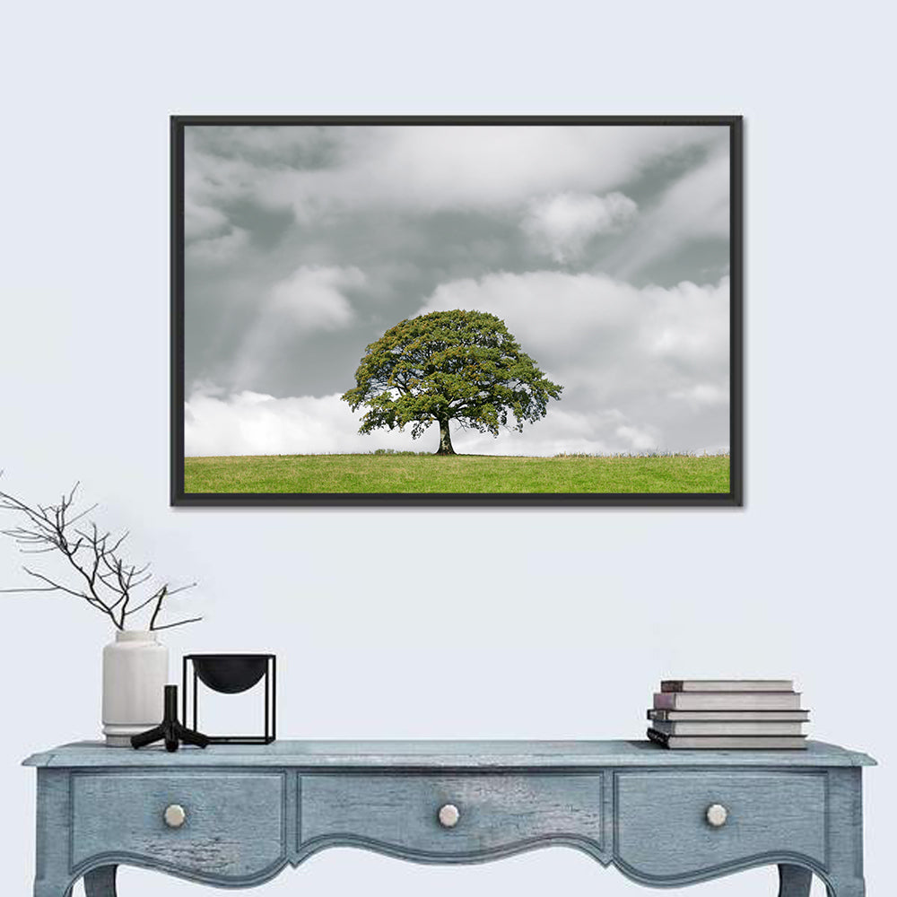 Solitary Oak in Meadow Wall Art