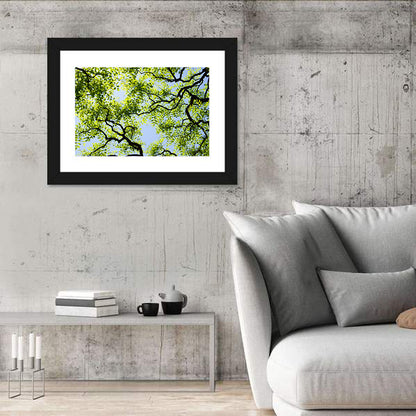 Sunlit Tree Canopy Wall Art