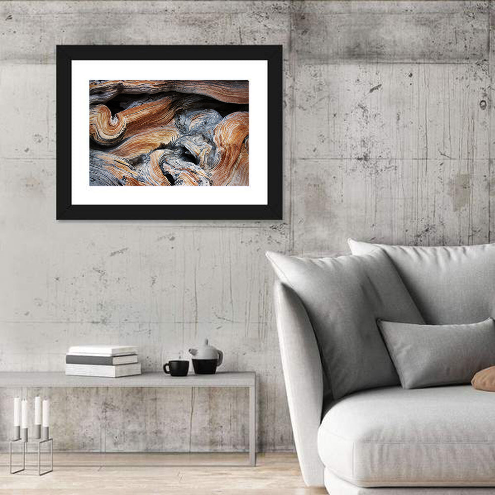 Juniper Wood Texture Wall Art in a room, landscape