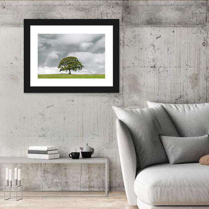Solitary Oak in Meadow Wall Art