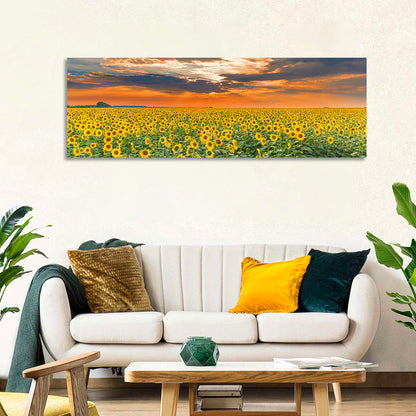 Golden Hour Sunflower Field Wall Art