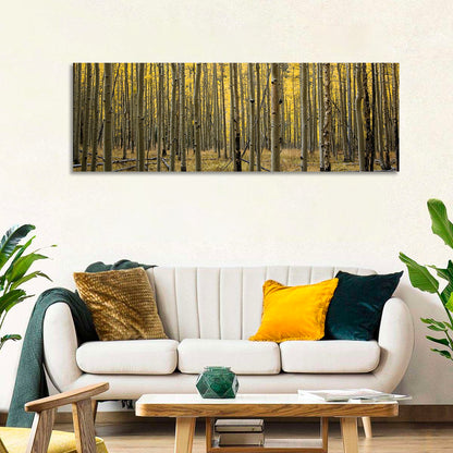 Golden Aspen Grove, Colorado Wall Art