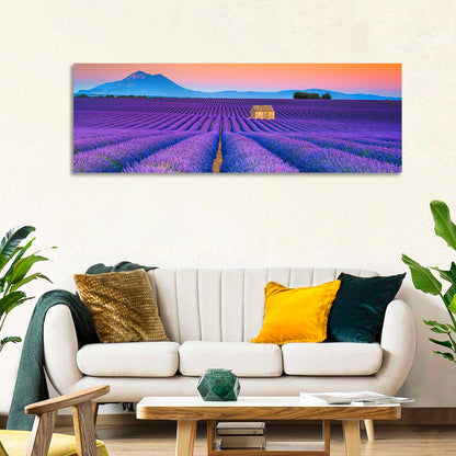 Valensole Lavender Fields at Sunset Wall Art