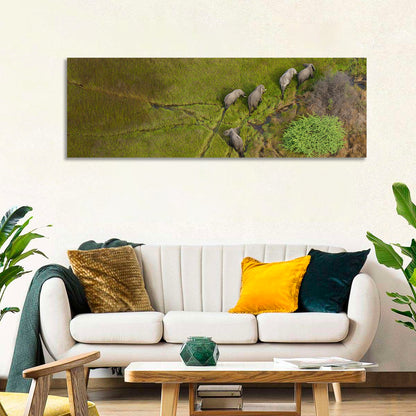 Aerial Herd of Elephants Wall Art