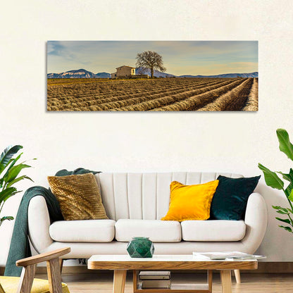 Rustic Provence Lavender Rows at Golden Hour Wall Art