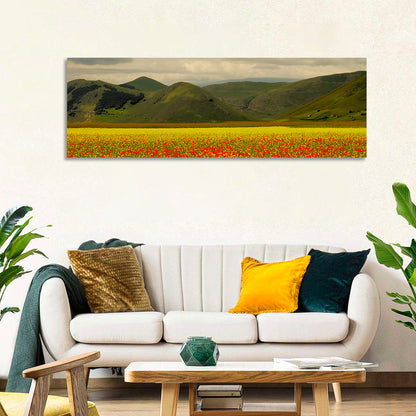 Castelluccio Wildflower Meadow Wall Art