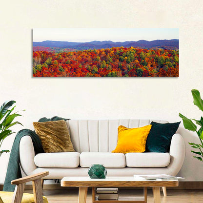 Autumn in the Appalachian Forest Wall Art
