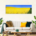 Sunlit Rapeseed Field Wall Art