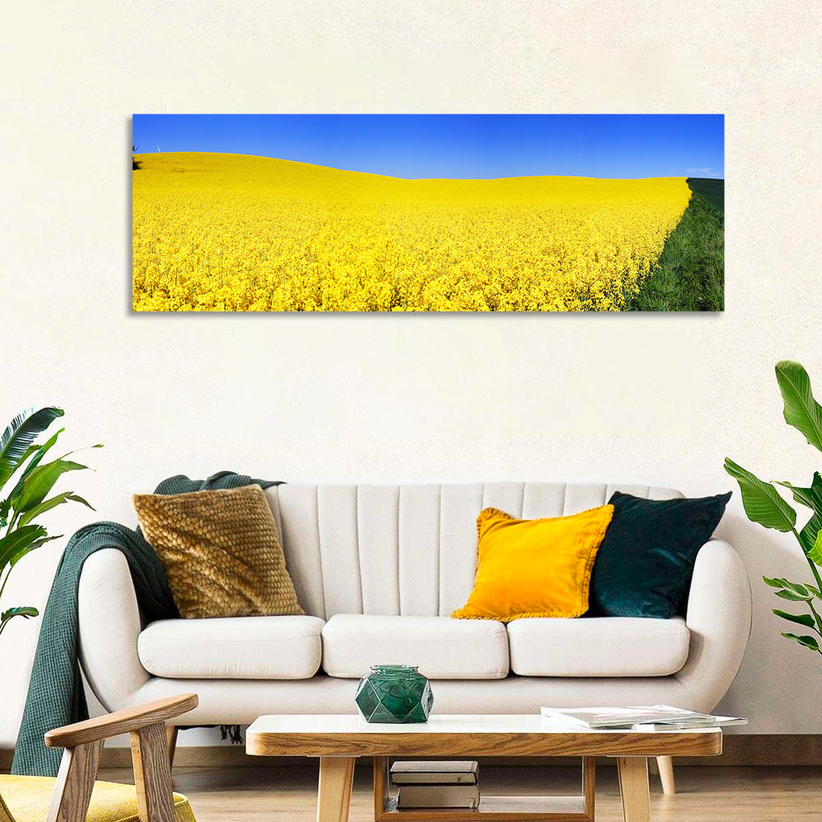 Sunlit Rapeseed Field Wall Art