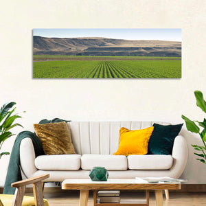 Idaho Corn Field Wall Art