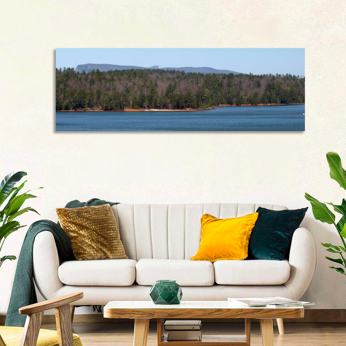 Lake James Shoreline Wall Art