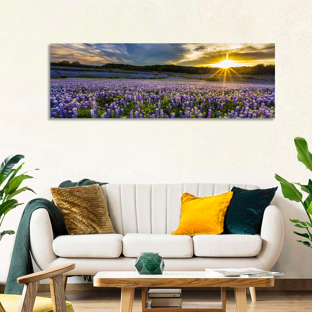 Texas Bluebonnet Field at Sunset Wall Art