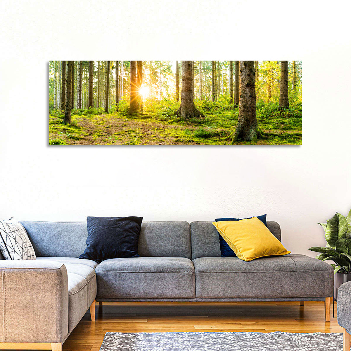 Sunburst Over Mossy Forest Wall Art in a room, panoramic