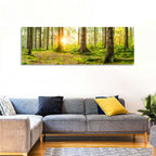 Sunburst Over Mossy Forest Wall Art