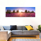 Sunrise Wildflower Meadow Wall Art