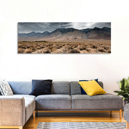 Storm Over Death Valley Wall Art