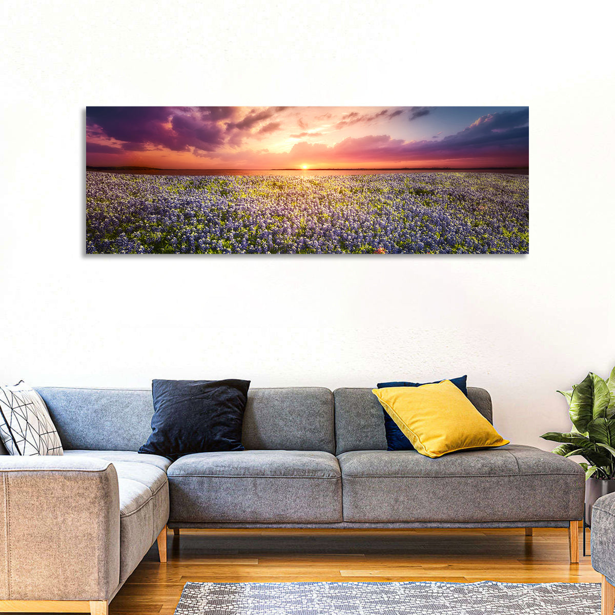 Texas Bluebonnet Sunset Wall Art
