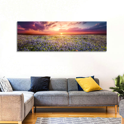 Texas Bluebonnet Sunset Wall Art