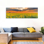 Golden Hour Sunflower Field Wall Art