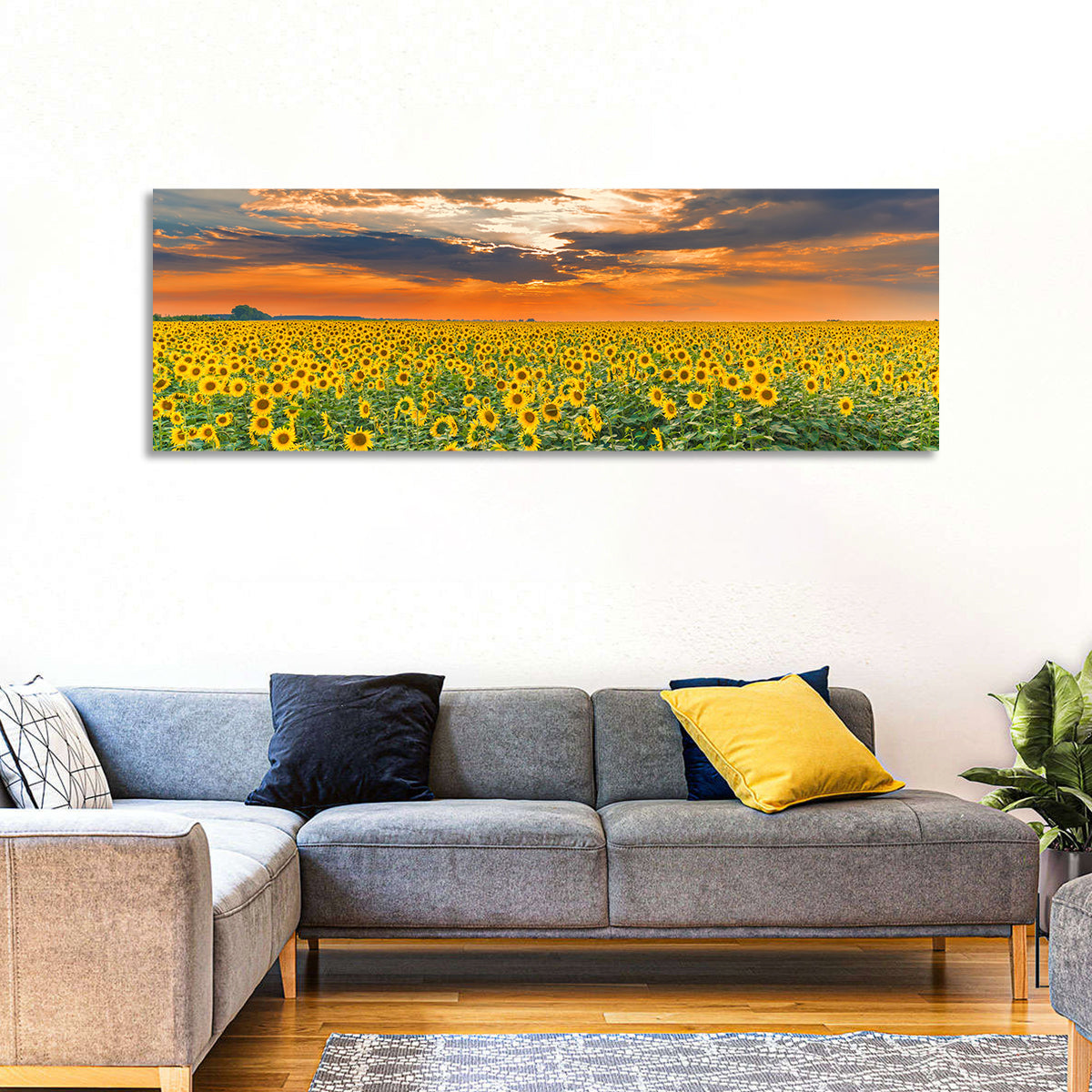 Golden Hour Sunflower Field Wall Art