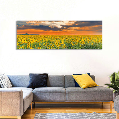Golden Hour Sunflower Field Wall Art