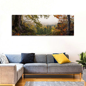 Enchanted Forest Valley Wall Art