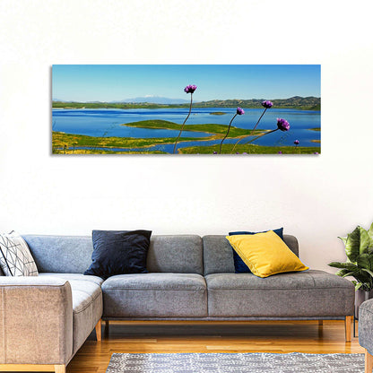 Lake Mathews Wildflower View Wall Art