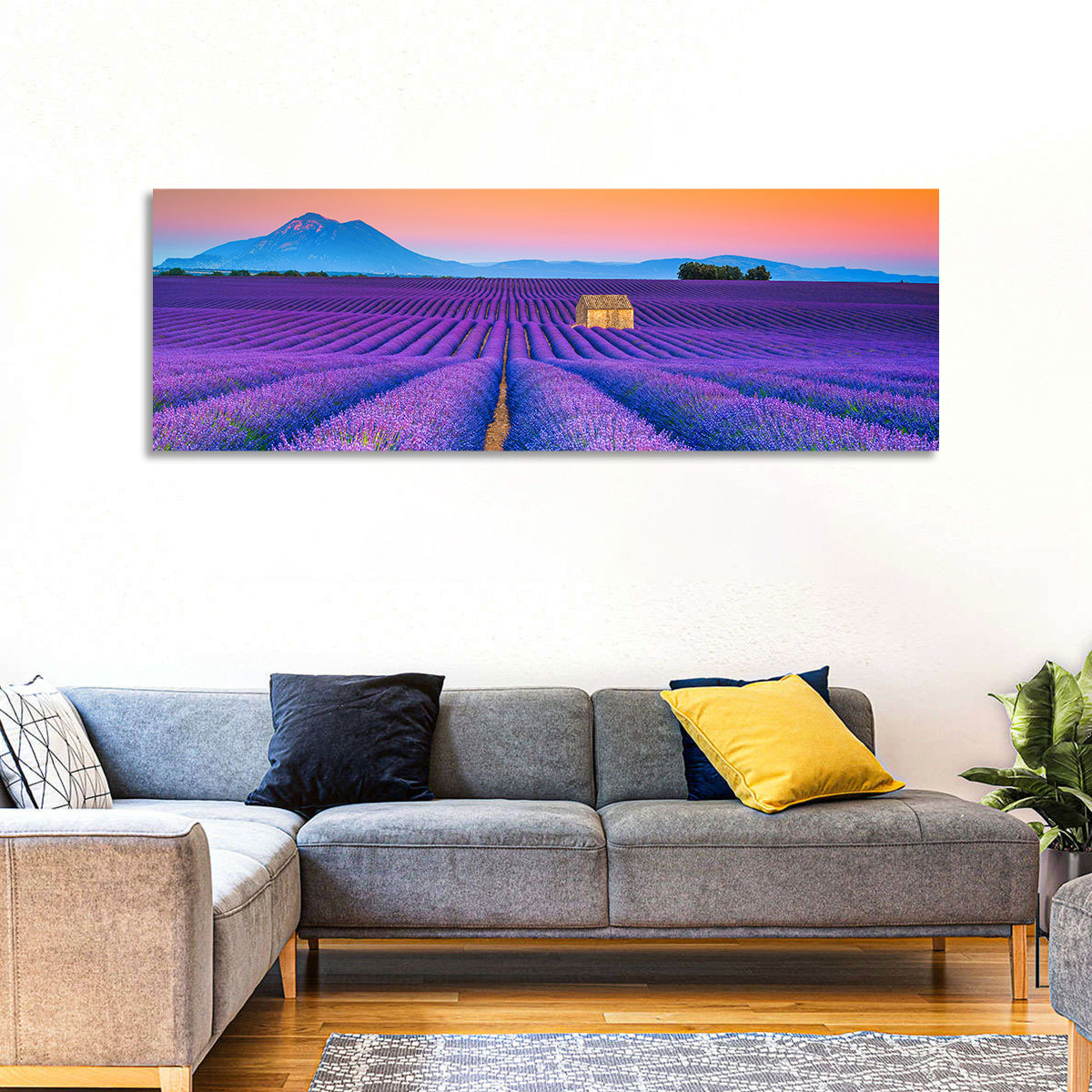 Valensole Lavender Fields at Sunset Wall Art