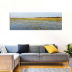Lake Toho Lily Pads Wall Art