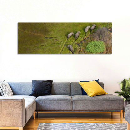 Aerial Herd of Elephants Wall Art