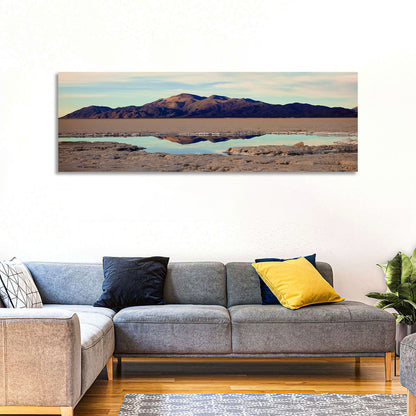 Salinas Grande Salt Flat Reflection Wall Art
