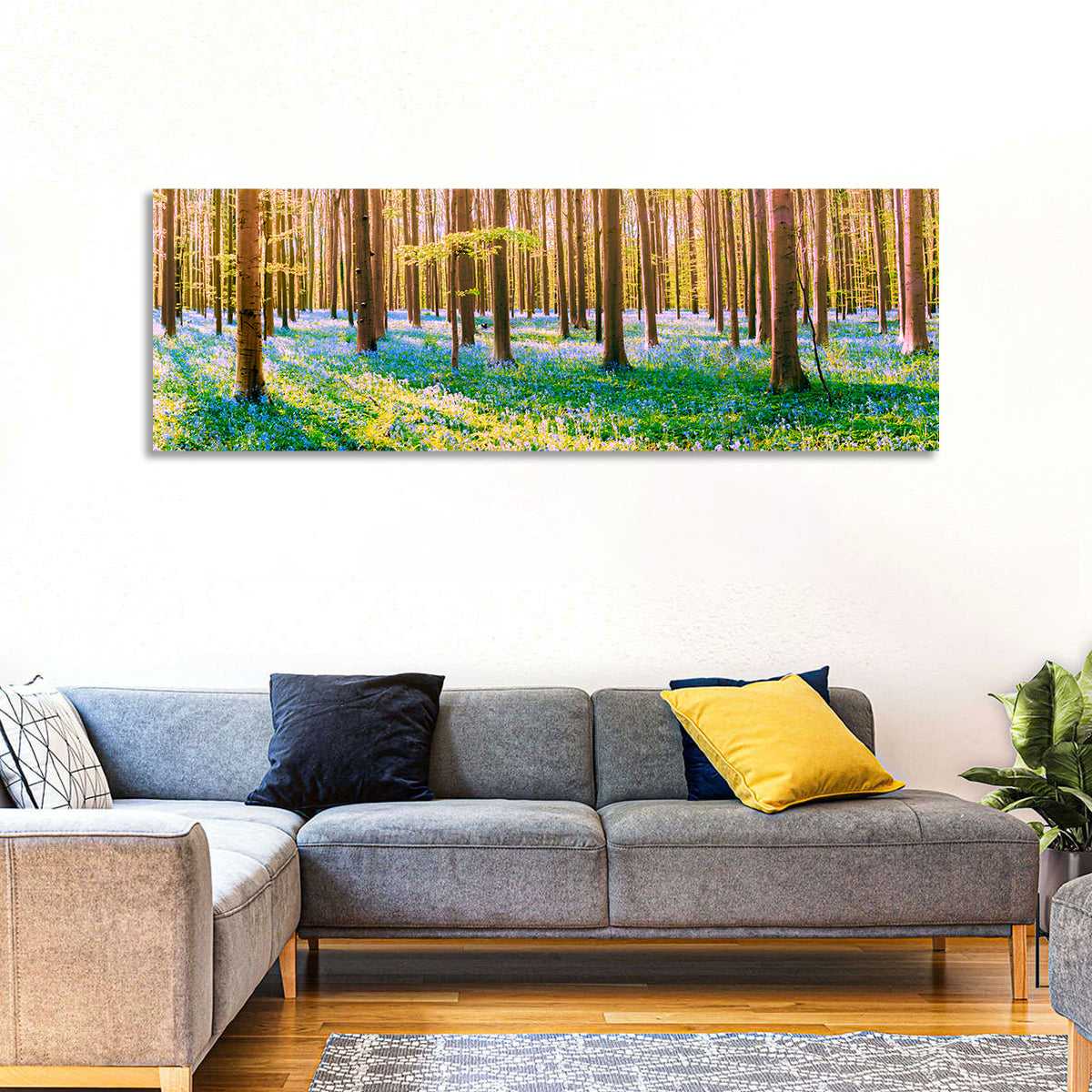 Hallerbos Bluebell Forest Wall Art in a room, panoramic