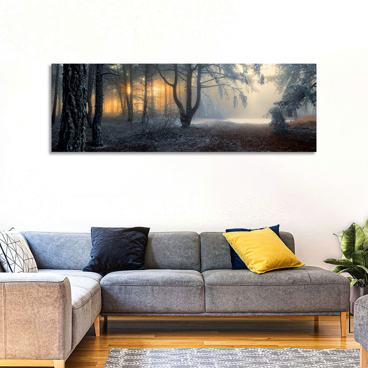 Frosted Forest Morning Light Wall Art