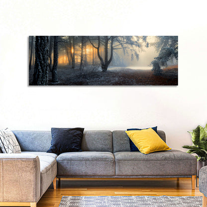 Frosted Forest Morning Light Wall Art
