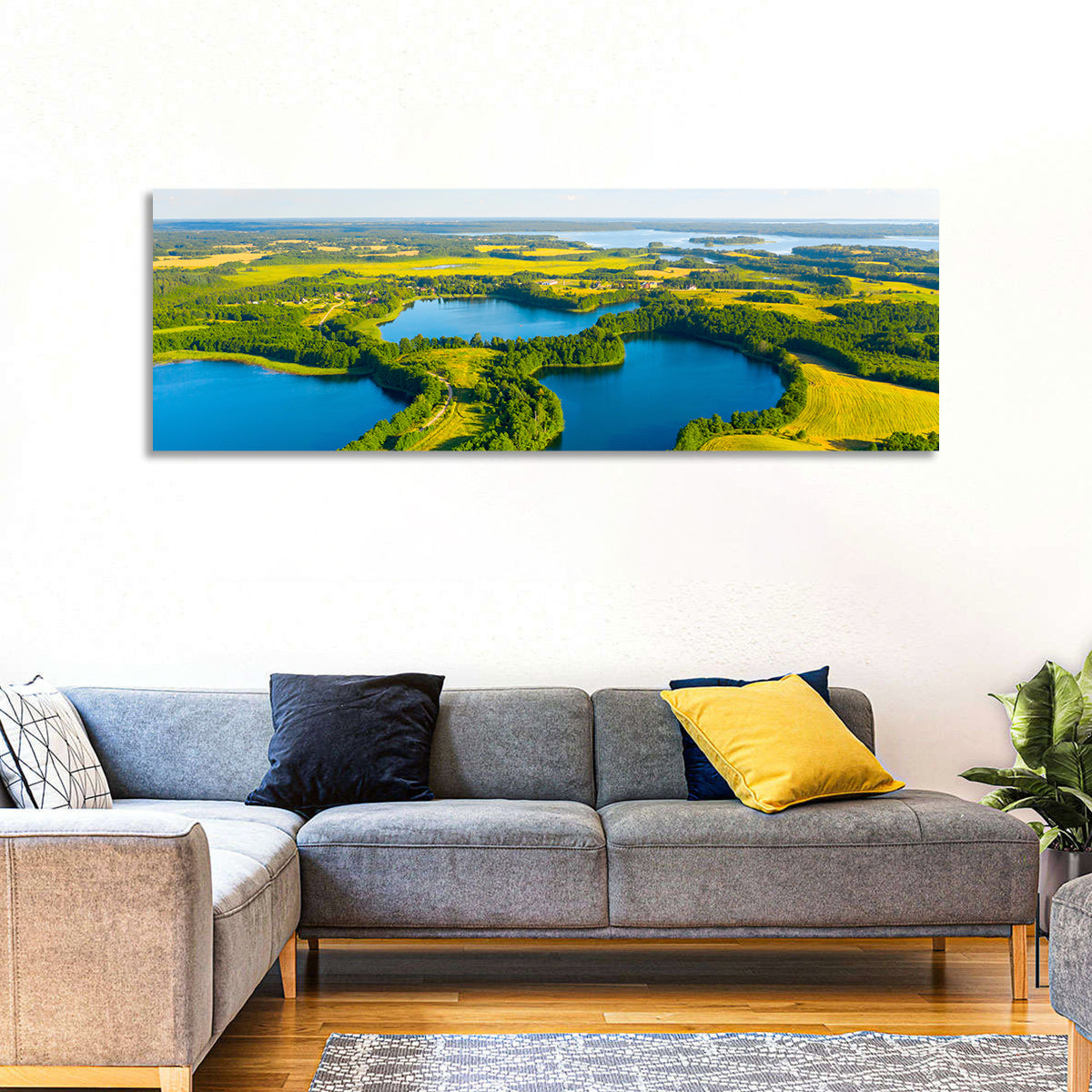 Narachanski Lake Meadows Aerial View Wall Art