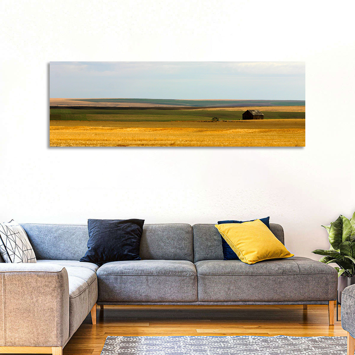 Lone Barn, Montana Farmland Wall Art