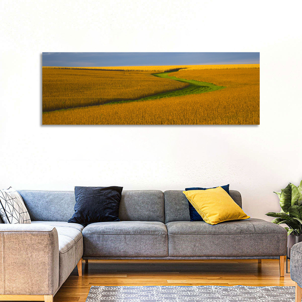 Golden Hour Soybean Field Wall Art