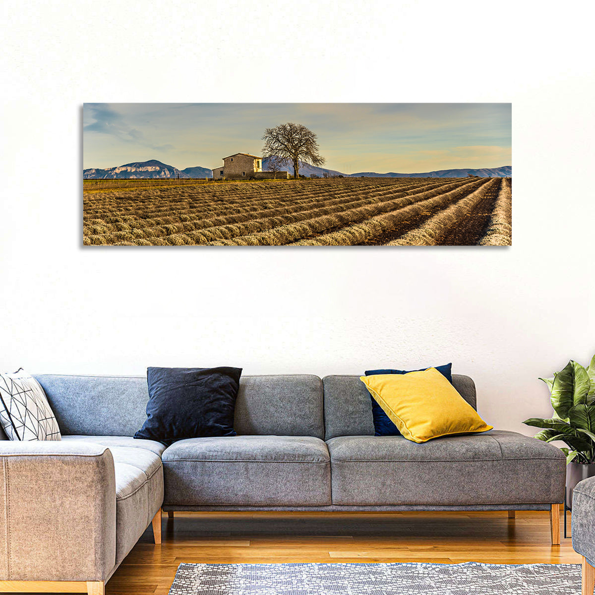 Rustic Provence Lavender Rows at Golden Hour Wall Art
