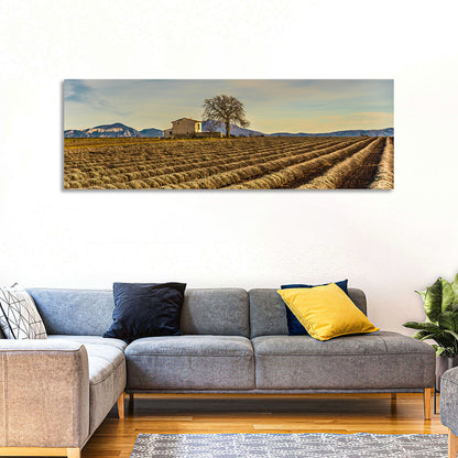 Rustic Provence Lavender Rows at Golden Hour Wall Art