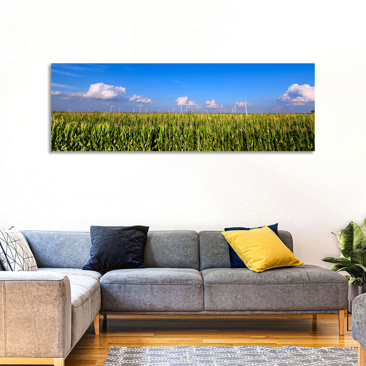 Illinois Cornfield Wall Art in a room, panoramic