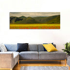 Castelluccio Wildflower Meadow Wall Art