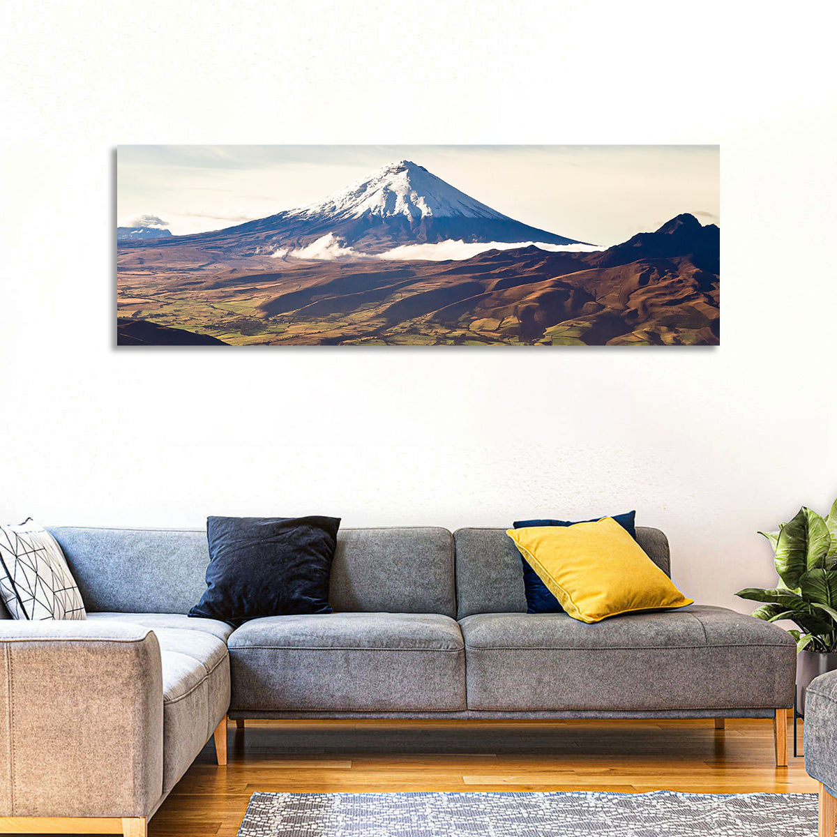 Cotopaxi Volcano Landscape Wall Art