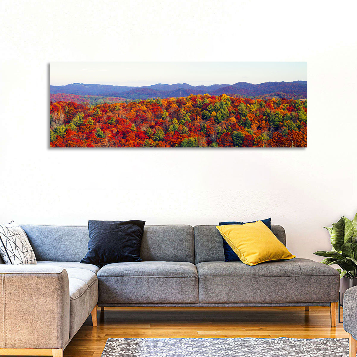Autumn in the Appalachian Forest Wall Art